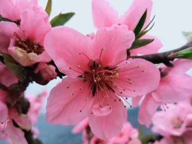 【精英专刊】【九江文学社:北京头条】尹连荣先生佳作欣赏(图11)