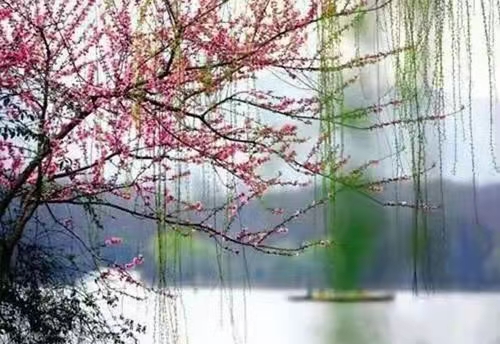 0515期【现代诗苑】(图6)