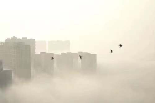 0515期【现代诗苑】(图5)