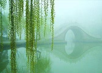0515期【现代诗苑】(图9)