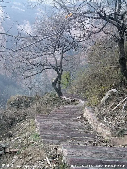 [桃源馨声]也想你，也想，不想你|作者:林华春|主播:梦想群岚[总1094期]（图6）