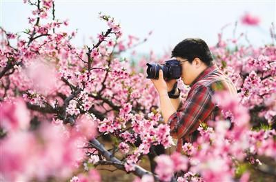 推荐【神州源流诗苑】总第609期[优秀现代诗]（含其他）周刊