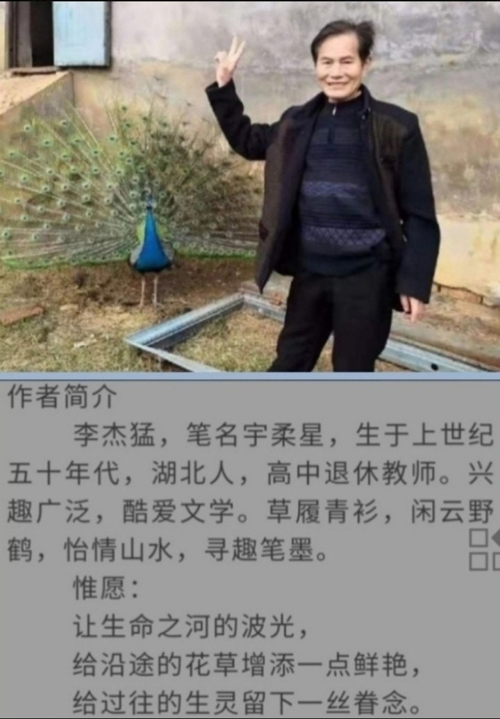 七律·采槐花 （平水韵外一首） 文/宇柔星（图3）
