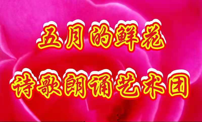 刘林丽诗歌作品《我多么的爱你》主播李华敏 编辑制作刘林丽