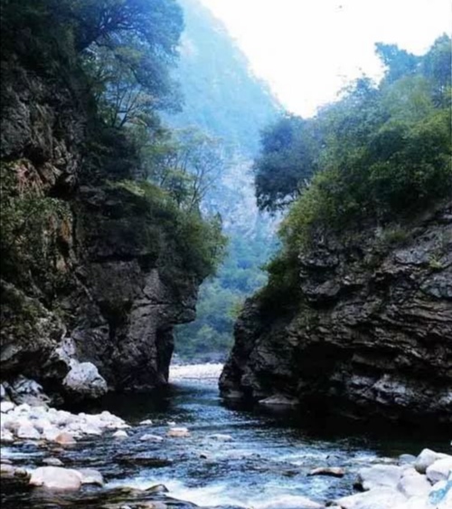 杨治理||黑河沿村趣话多(图7)