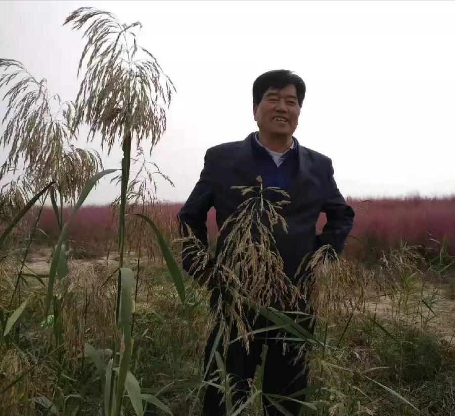 杨治理||黑河沿村趣话多(图11)