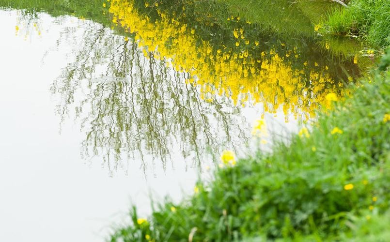 〔诗词小辑〕作者:王新华(河北)【冰心文化传媒】(图5)