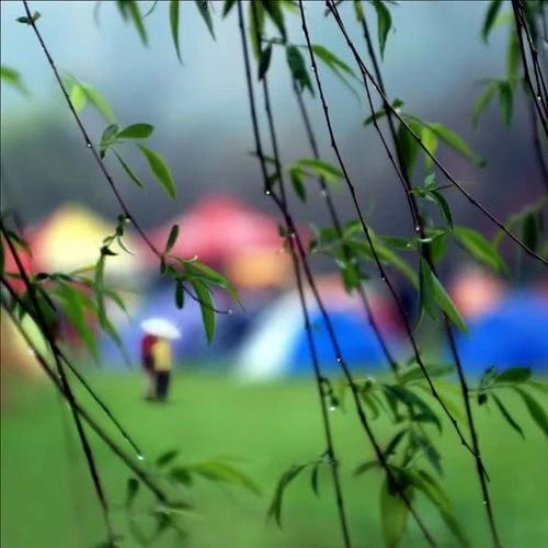 【新山东文学社】《醉春（外五首）》作者/乡间行吟者 主播/苏宁（图5）