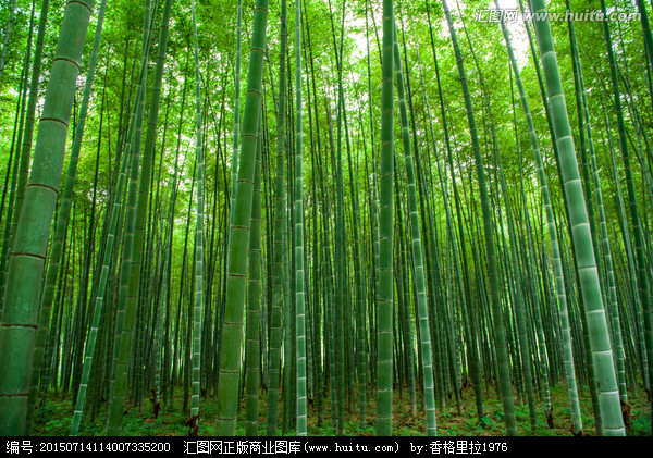 涧水潺潺.涧水蓝蓝