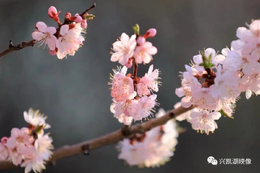 涧水潺潺.涧水蓝蓝(图4)