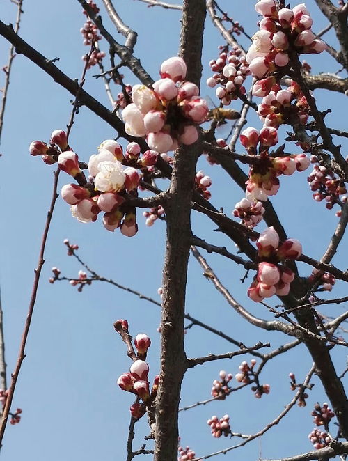 涧水潺潺.涧水蓝蓝(图2)