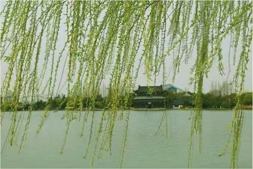 【精英专刊】【九江文学社:北京头条】庞古洲先生佳作欣赏(图6)