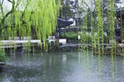 【精英专刊】【九江文学社:北京头条】庞古洲先生佳作欣赏(图14)