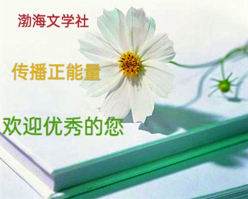 诗与远方文/安然小静（图3）