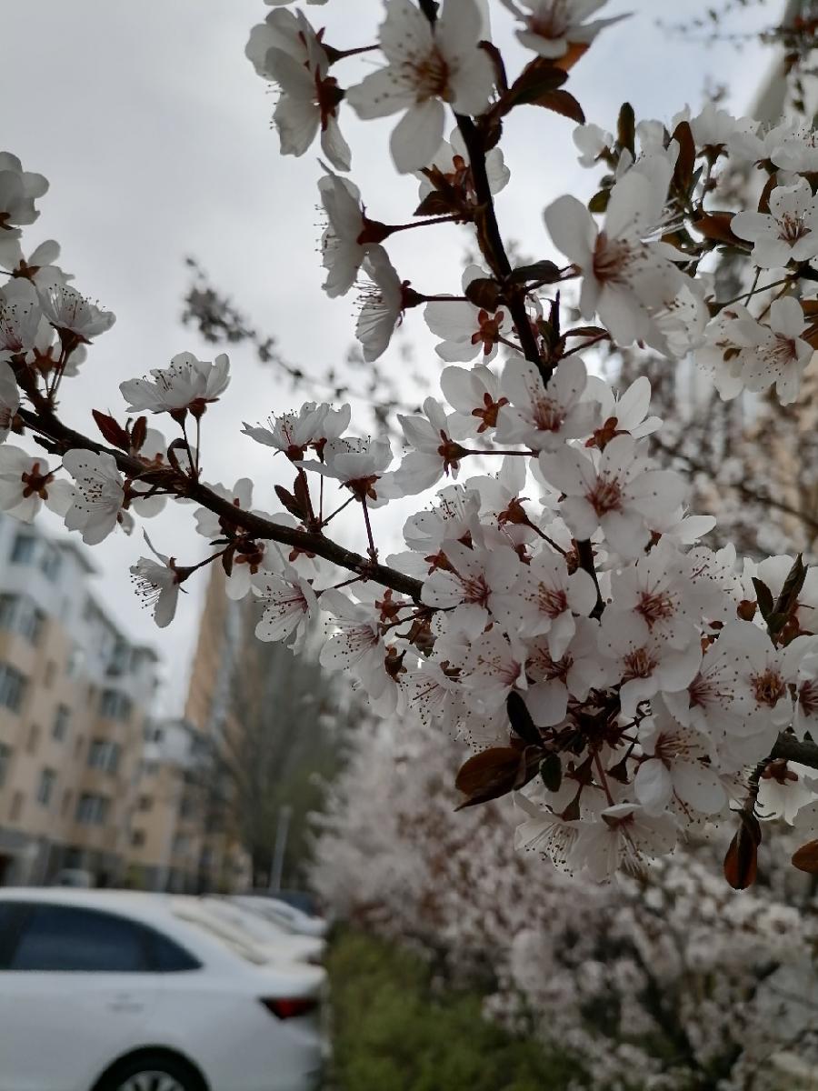 图文并茂（图2）