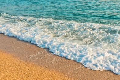 李 敏 与名家同台亮相（之四）（图12）