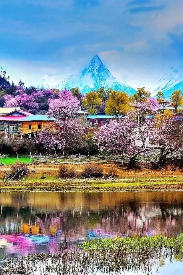 《这次一定要把幸福采下》作者李会涛;主播飘浮的云;编辑宋梅【中国长江文学社】有声文学平台第3643期（图8）