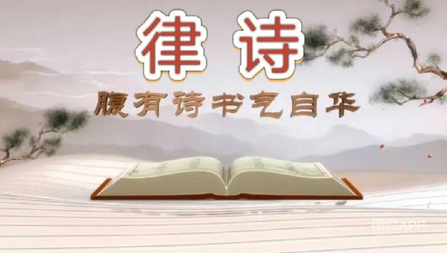 【潇湘文学社】潇湘如兰诗社《蒲公英》（总315期）（图4）