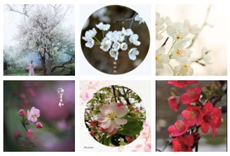 〔诗词小辑〕作者 张晓峰（重庆）【冰心文化传媒】（图6）