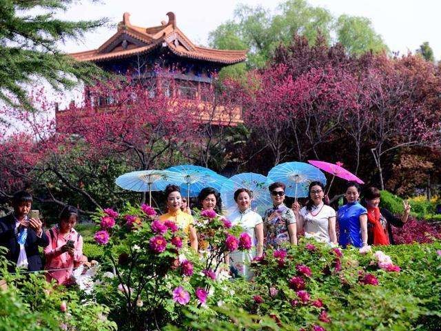 【神都诗社】09期《牡丹》(图36)