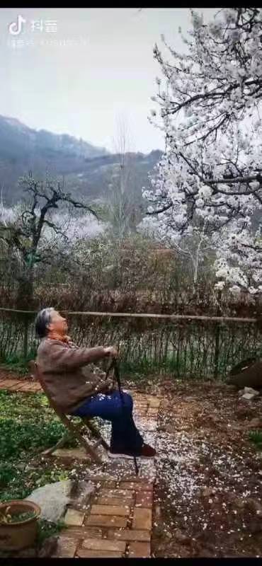 桃红杏白在人间