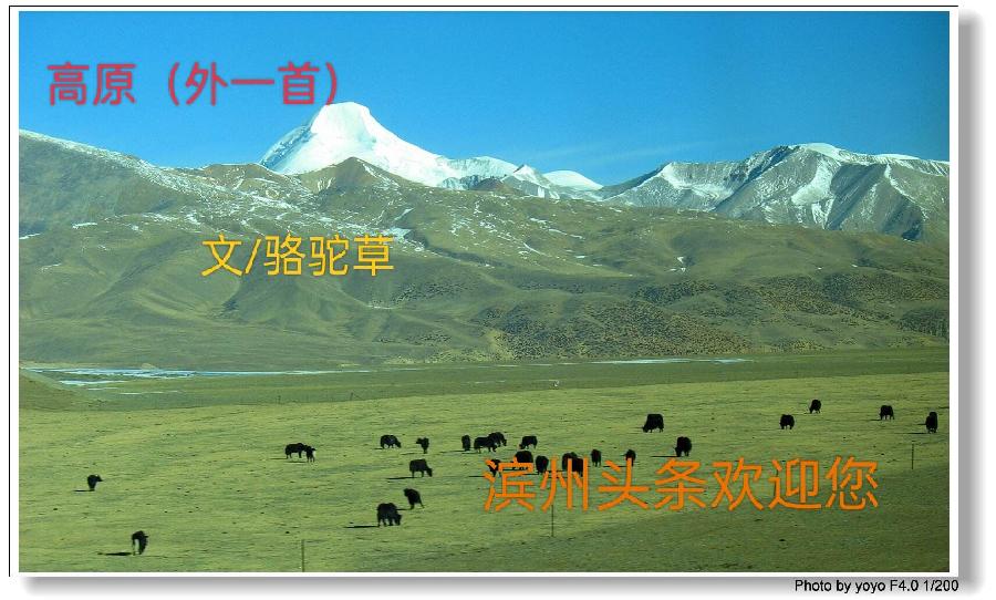 在高原（外一首）文 / 胡世健