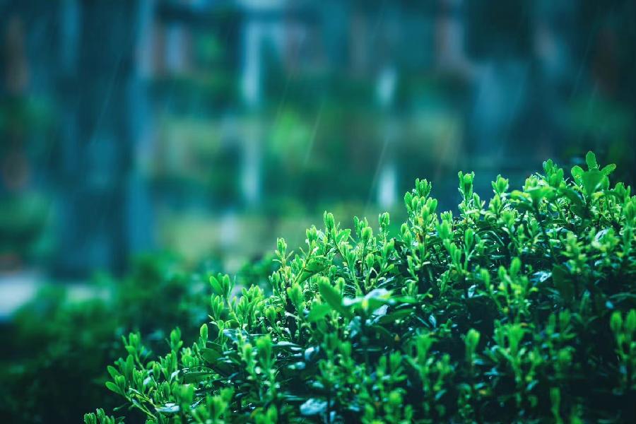 0516期【古韵风采】(图4)