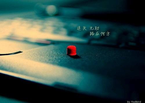 〔五绝小辑〕作者 王世金（大连）【冰心文化传媒】（图4）