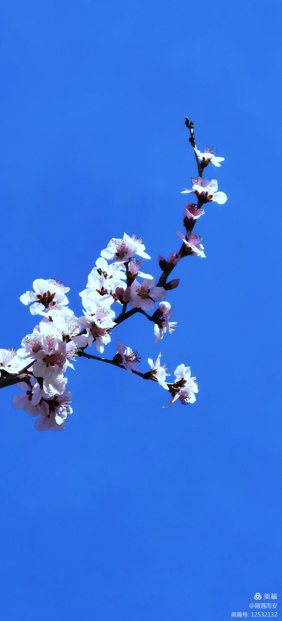 【都市头条向幸福出发编辑部】第339期 谎言 主播 张春荣(图5)