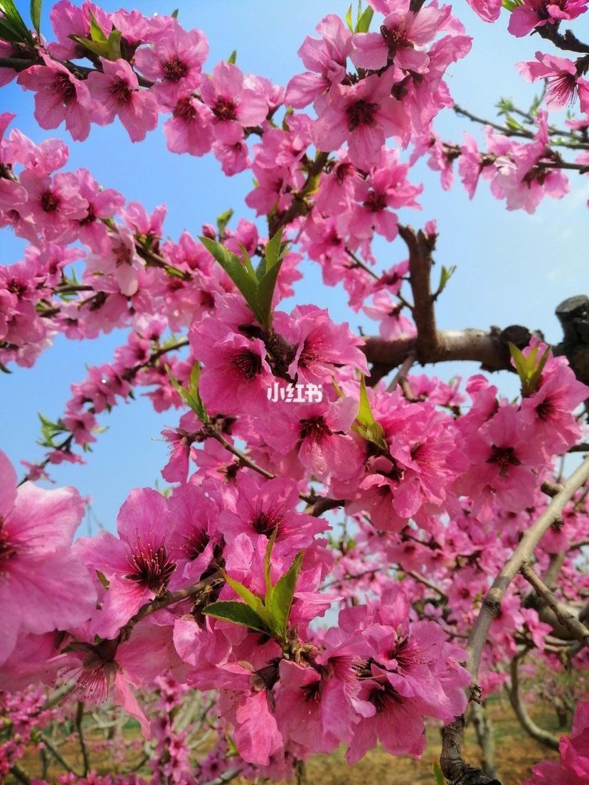 推荐丨【神州源流诗苑】总第613[原创佳词]周刊（图11）
