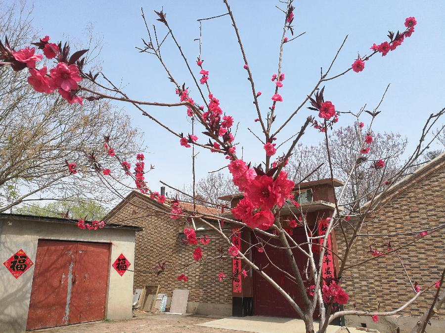 【都市头条向幸福出发编辑部】第340期 等你 文 如月 主播 天乐(图2)