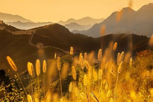 【名家专刊】【九江文学社：北京头条】《鸿雁一曲寄乡愁》文/胡杨（原创首发）（图3）