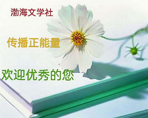 又见梧桐花满天 文/牛孝平（图3）