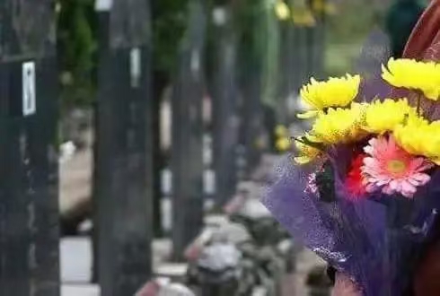 《江西名家-金强诗选》(图8)