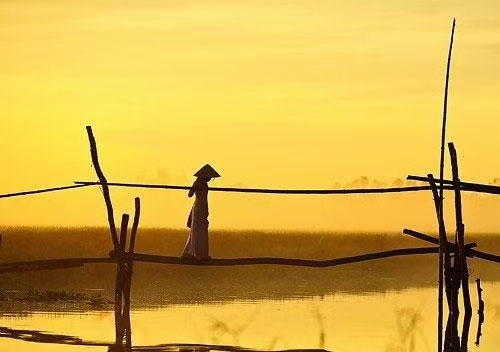 《江西名家-金强诗选》(图10)