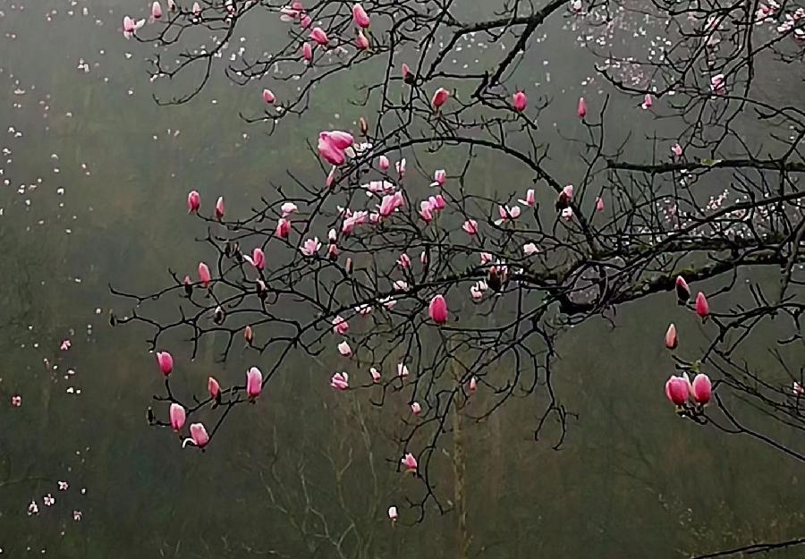 《王亚东先生-诗词》(图16)