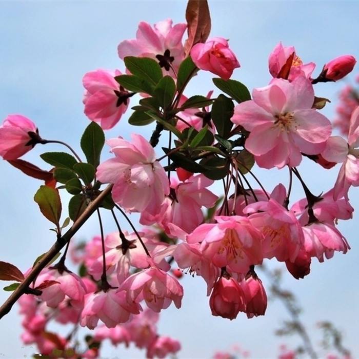 七律·航天英雄喜荣归(组诗)薛有毅(山西榆次)(图4)