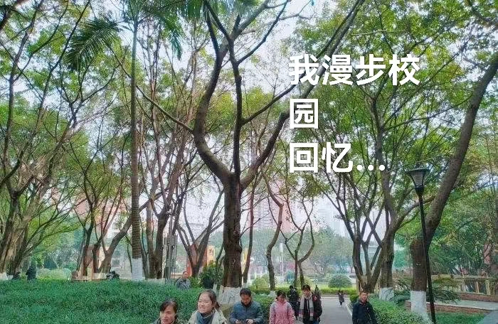漫 漫 学 程 路 难 忘 母 校 情（叙事散文诗）作者 丁培恭｜海外头条（图5）