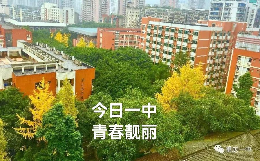 漫 漫 学 程 路 难 忘 母 校 情（叙事散文诗）作者 丁培恭｜海外头条（图15）