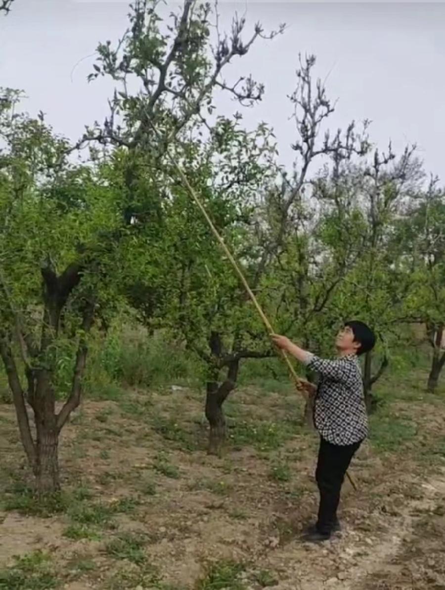 王月芳文（图3）