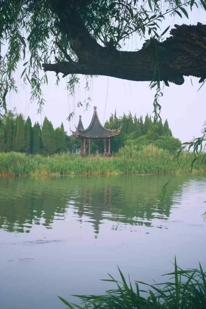 先锋诗派山东分会专刊【仿古体新诗】贺神州十三成功返回 文/魏洪娥 京津沪头条(图3)
