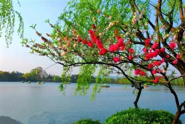 心尘文艺 第523期（图2）