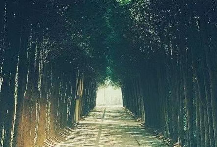 《尘缘:散文诗选》(图9)