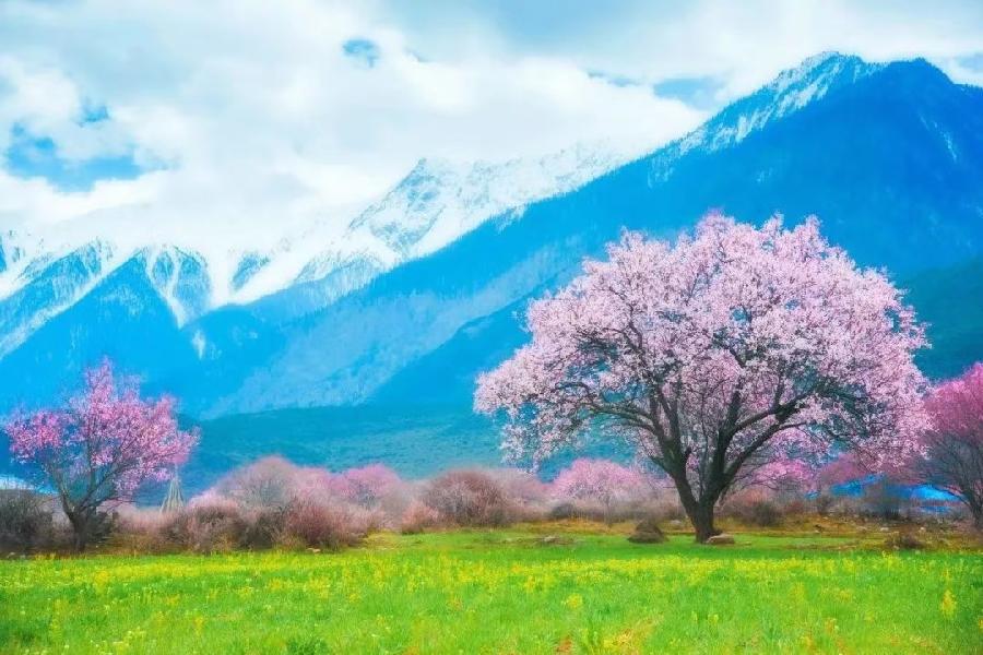 《尘缘:散文诗选》(图21)