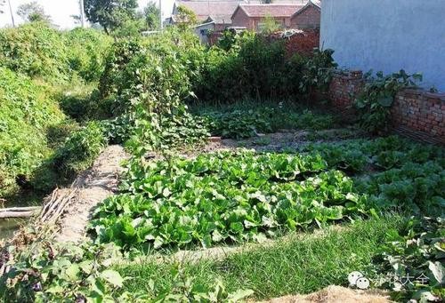 【九江文学社：北京头条】推荐欣赏张永良先生佳作（图11）