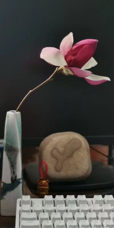 玉兰 | 文/戴其苍，图/绵小蔓（图2）