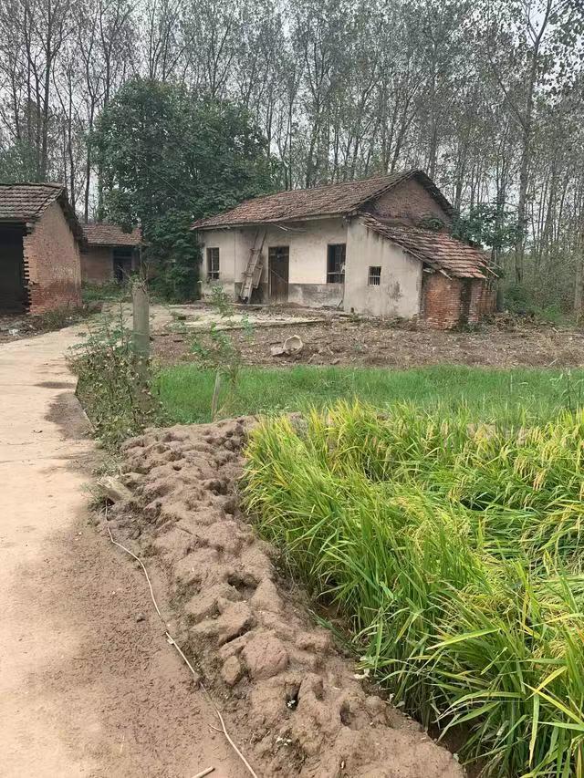 乡间的老屋 文 / 胡世健 ( 湖北随州 )(图3)