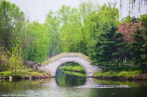 【名家专刊】【九江文学社:北京头条】【民以食为天专栏之三:景尚美食】文/杨成贵将军(图3)