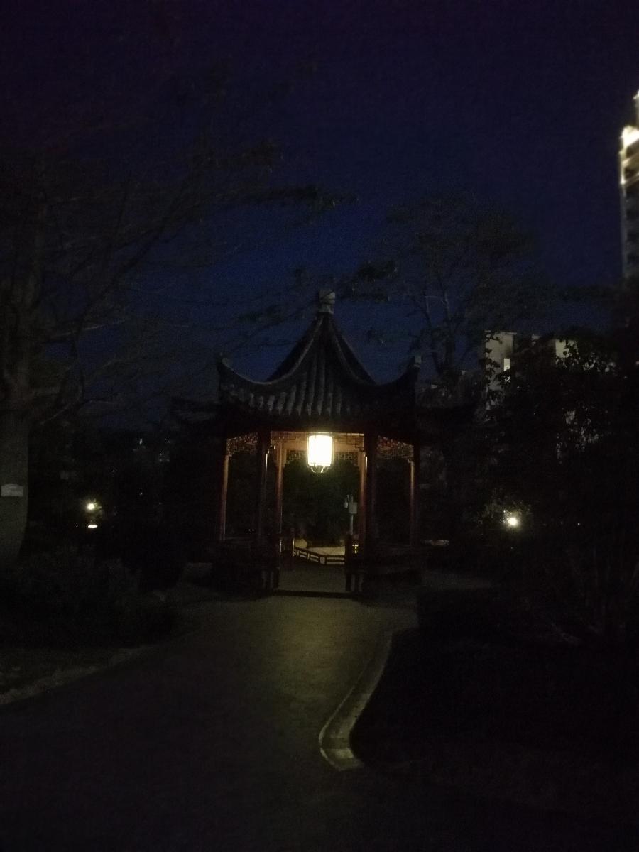 五律 晚芳 ／江冲（图5）