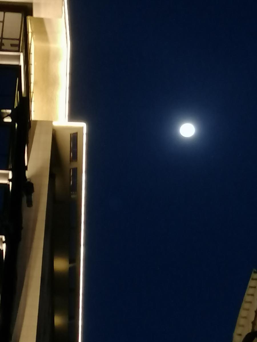 五律 晚芳 ／江冲（图10）
